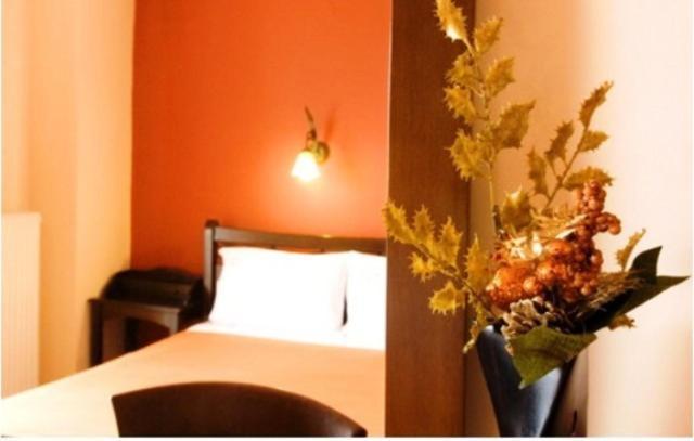 Palatino Hotel Loutra Edipsou  Eksteriør billede